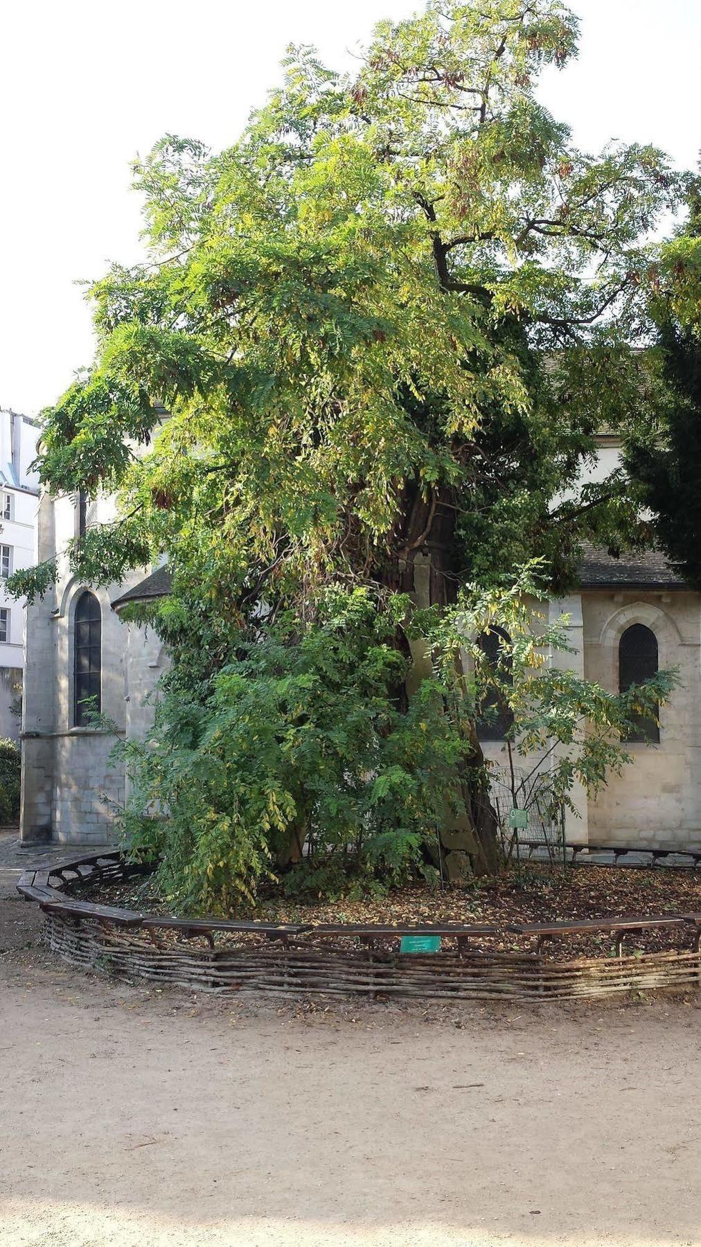 Hotel Henri Iv Rive Gauche